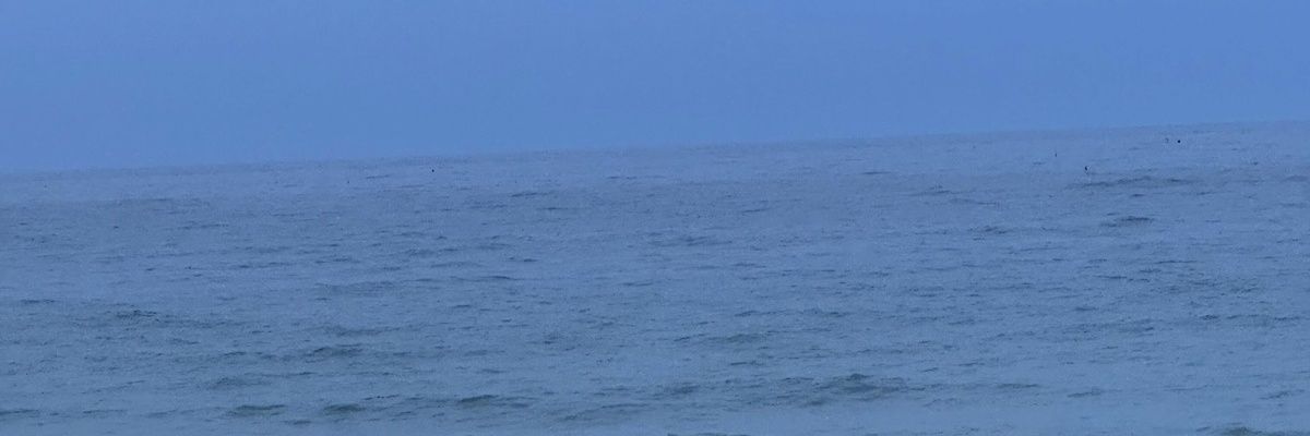haramyoonseul's profile banner image