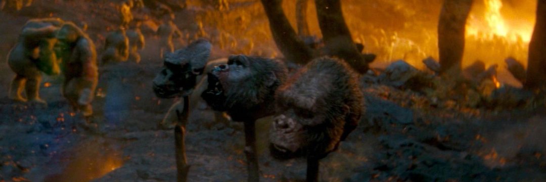 gorillageek27(ape fan) banner