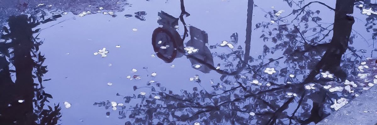 tkkki_'s profile banner image
