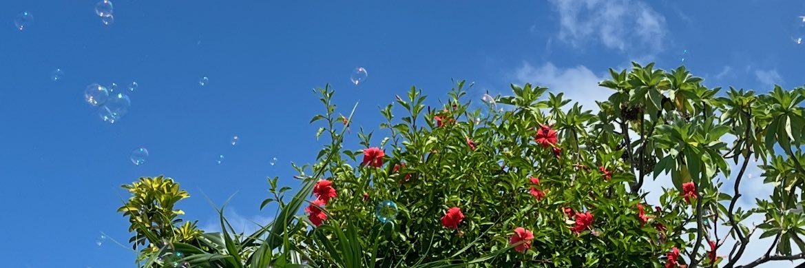 sochanbisbis's profile banner image