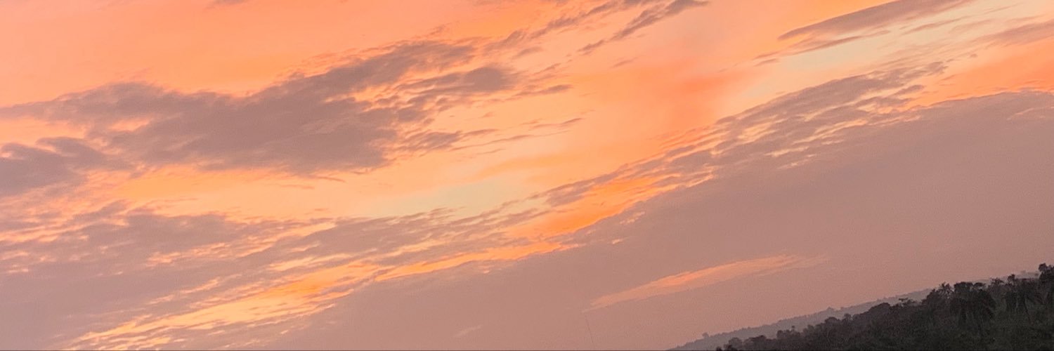 Tracy_Onchain's profile banner image