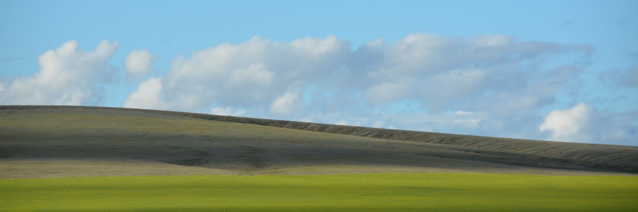 Iregedui's profile banner image