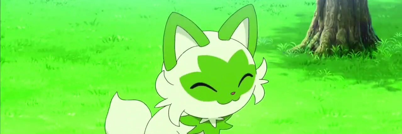 carl 🐱 banner
