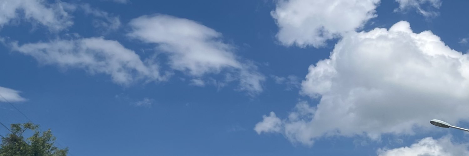dominodaizen's profile banner image