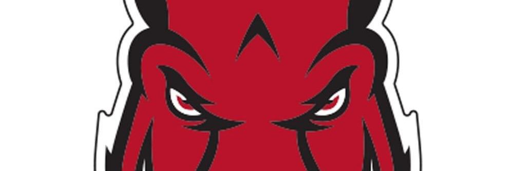 carpoolqueen's profile banner image