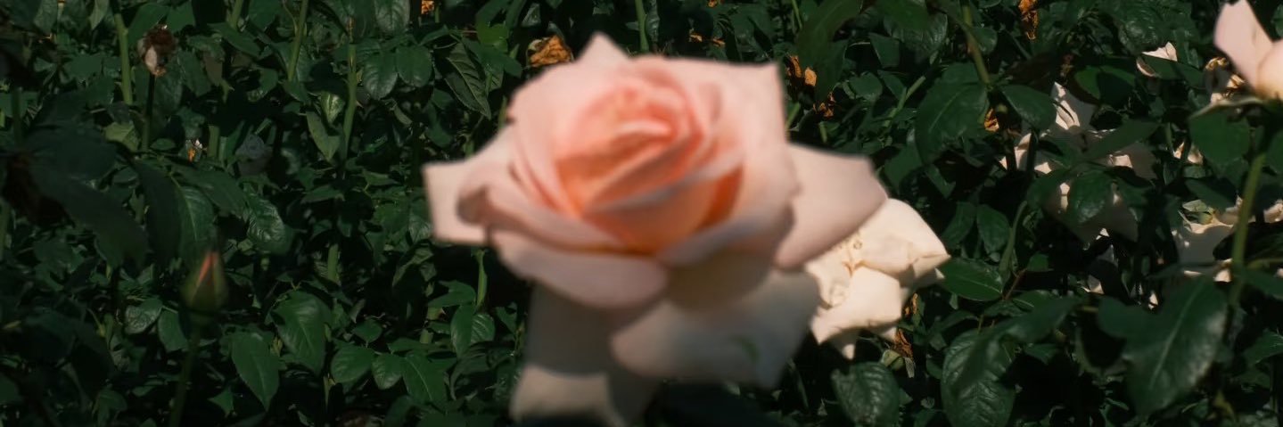 rue1pgu's profile banner image