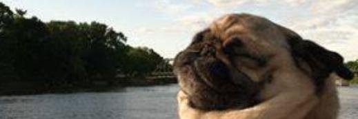 SirCholo_'s profile banner image