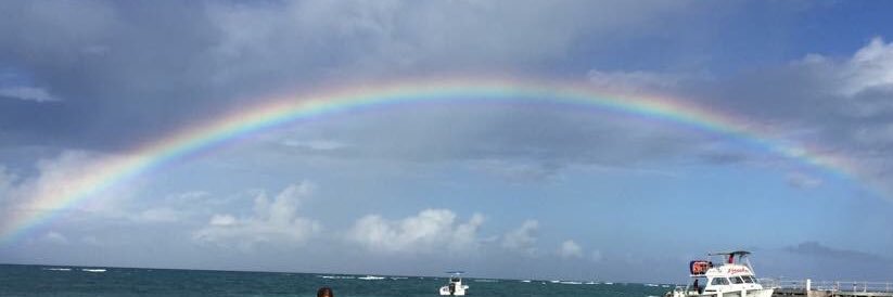 ginasimpson's profile banner image