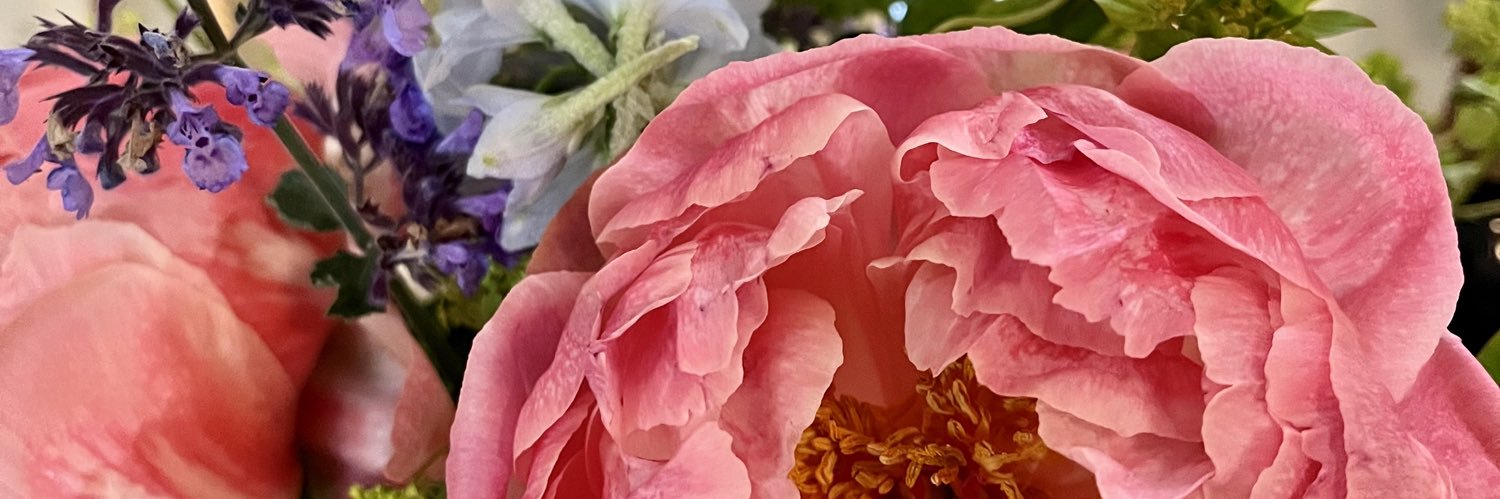 JanelleGrant2's profile banner image