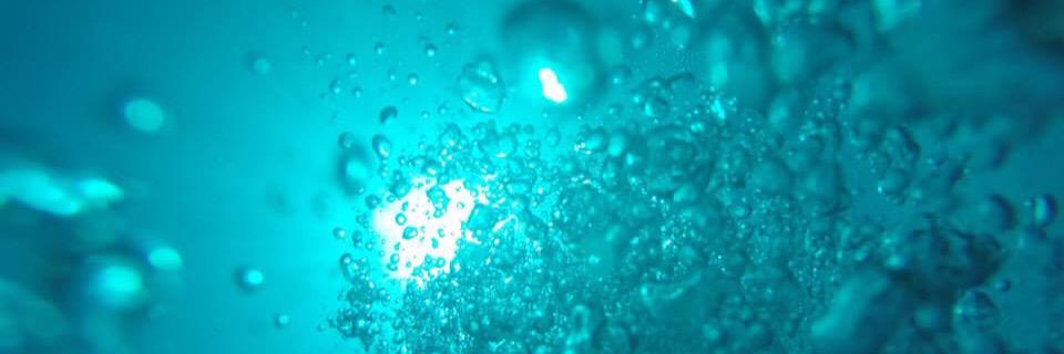 Robert Corman banner