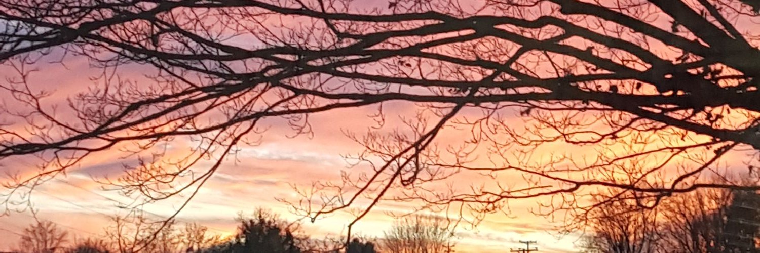 tcottre1's profile banner image