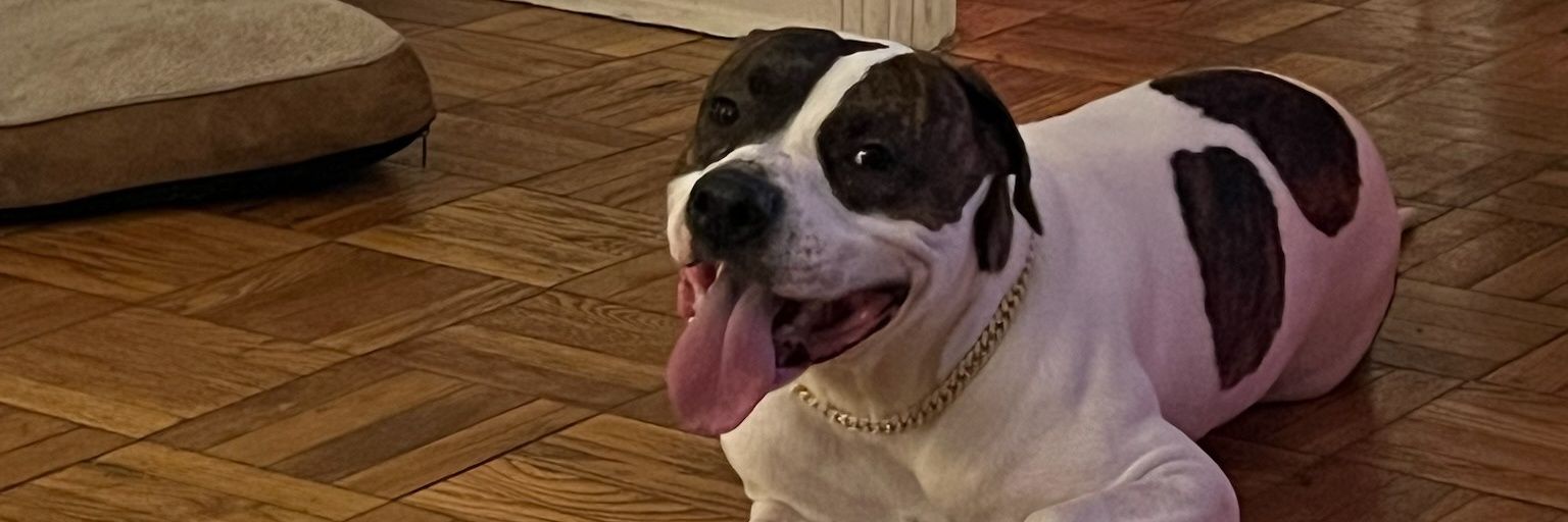 _Twitchh's profile banner image