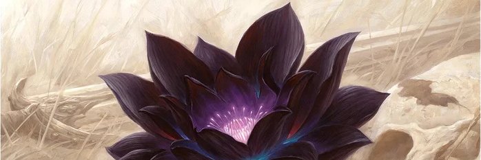 mtgdledaily's profile banner image