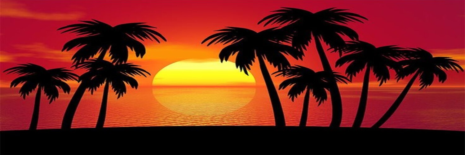 D105IT0's profile banner image