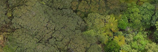 oneblueplanet Profile Banner