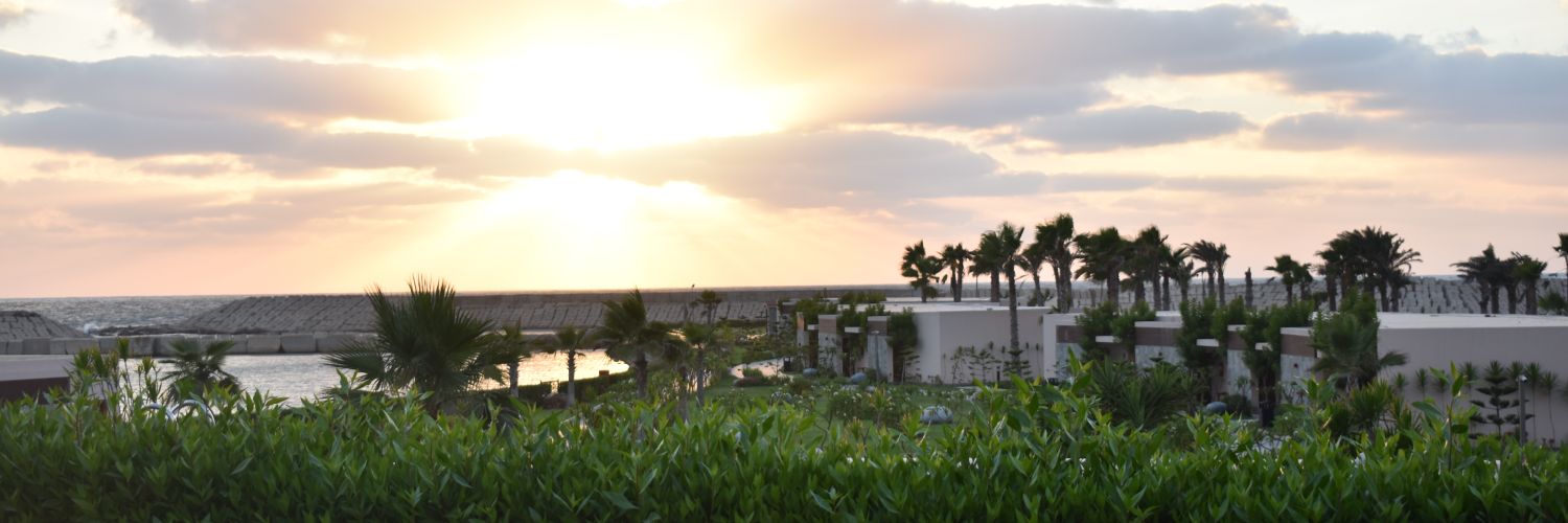 CitizenXeg's profile banner image