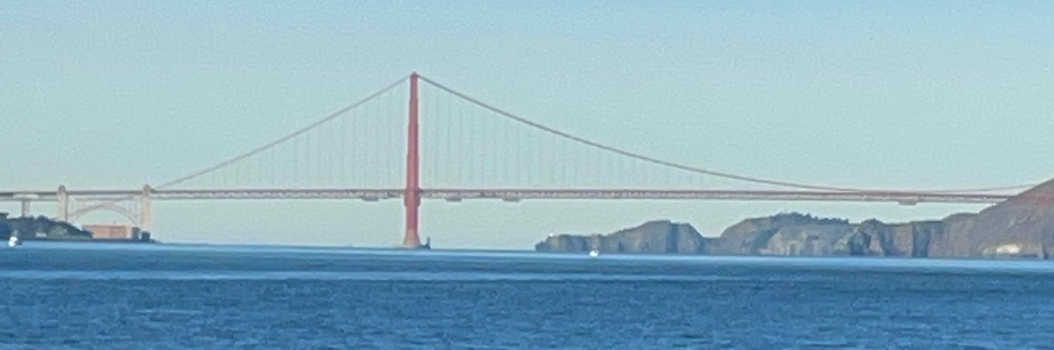 SireDiremnki 🩷💜💙 banner
