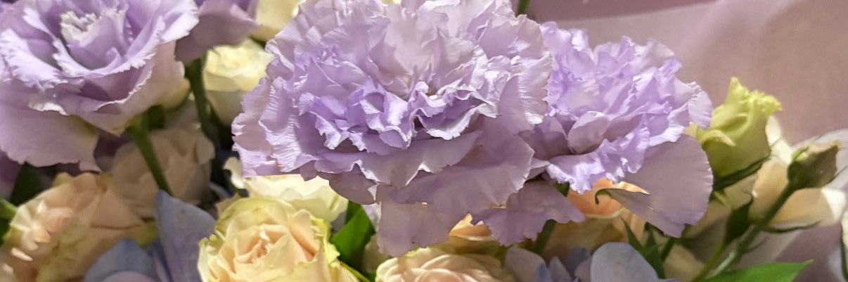 MiriamLopez203's profile banner image