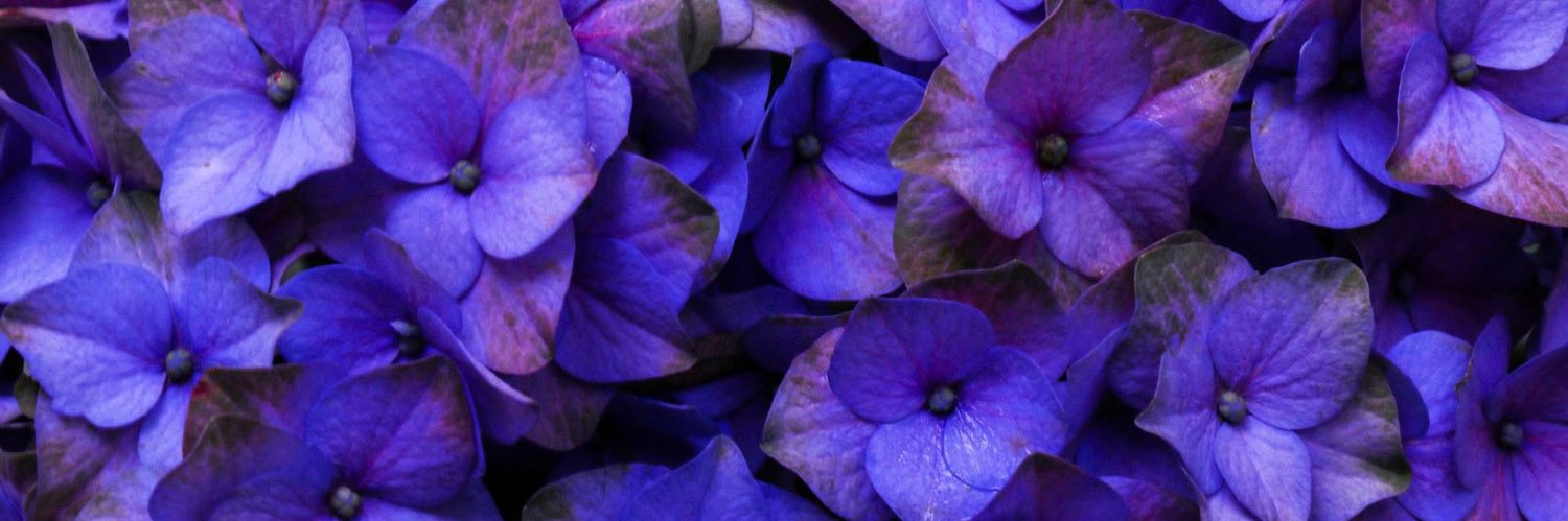 Omi_zL's profile banner image