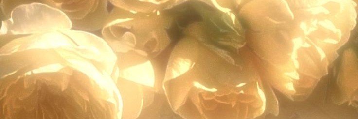 jjo1042's profile banner image