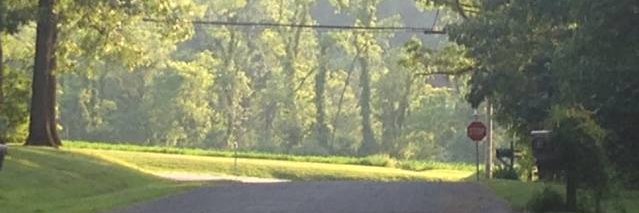 erinsalm's profile banner image