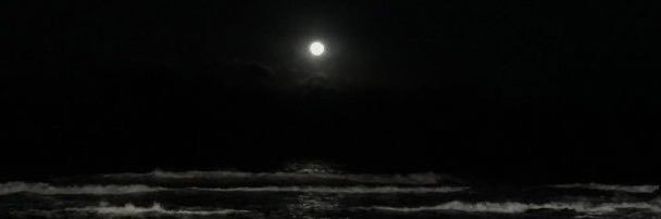 minjdh993's profile banner image