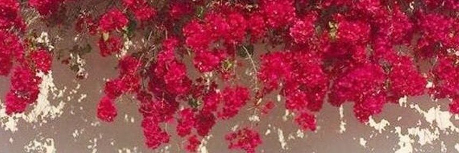 0xsufyan's profile banner image