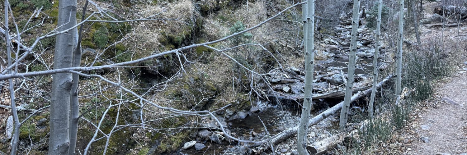 Rick Westfall banner