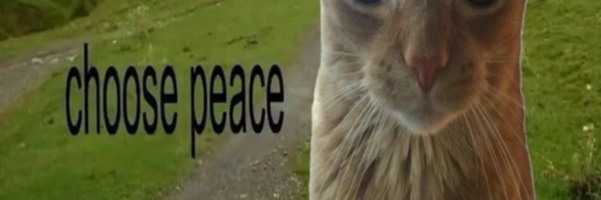 zhyuuTOT's profile banner image