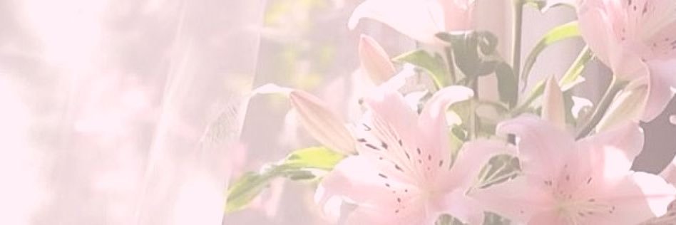 wishzen_core's profile banner image