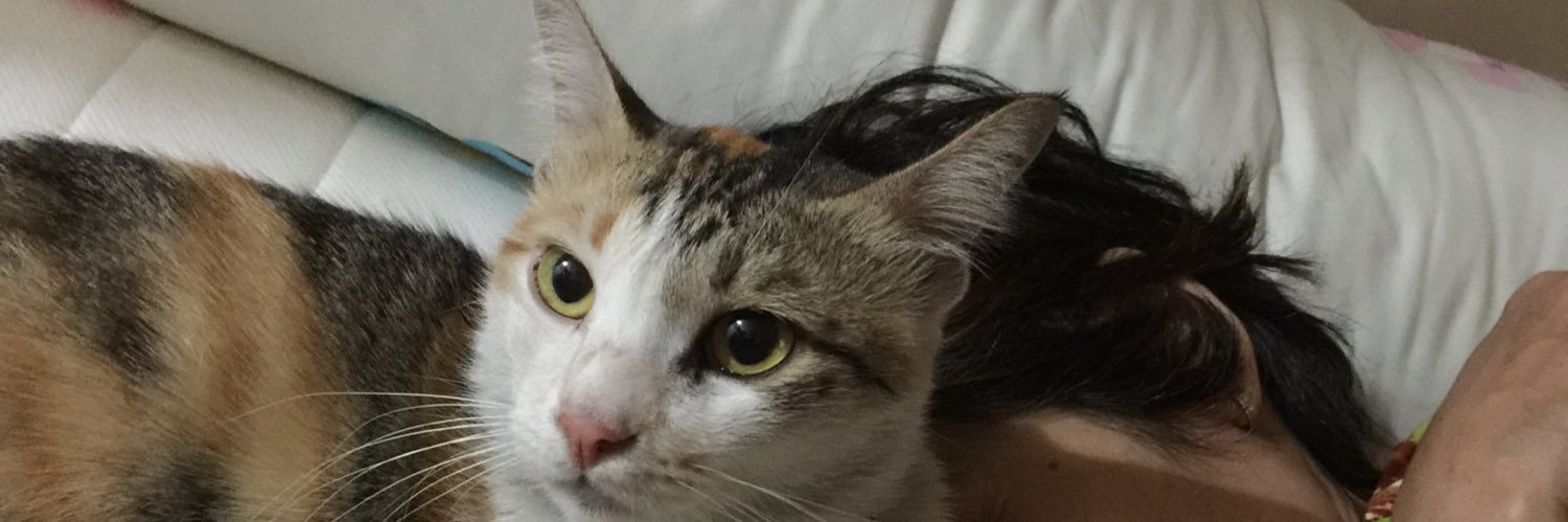 mikaganu's profile banner image