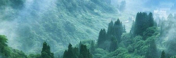 Naturehz's profile banner image