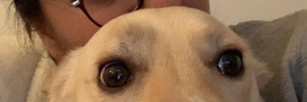 knotty_isabel12's profile banner image