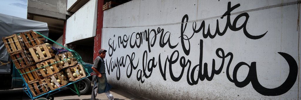 Francisco Cañedo banner