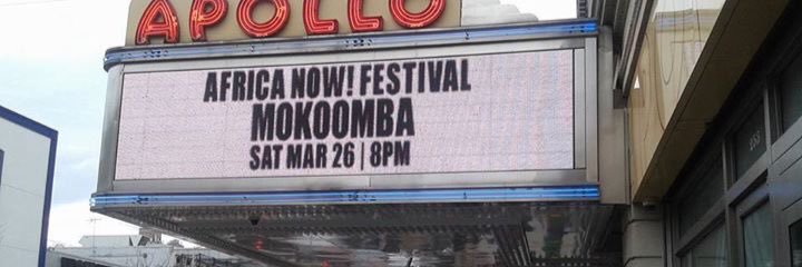 Marcus Tawanda Gora banner