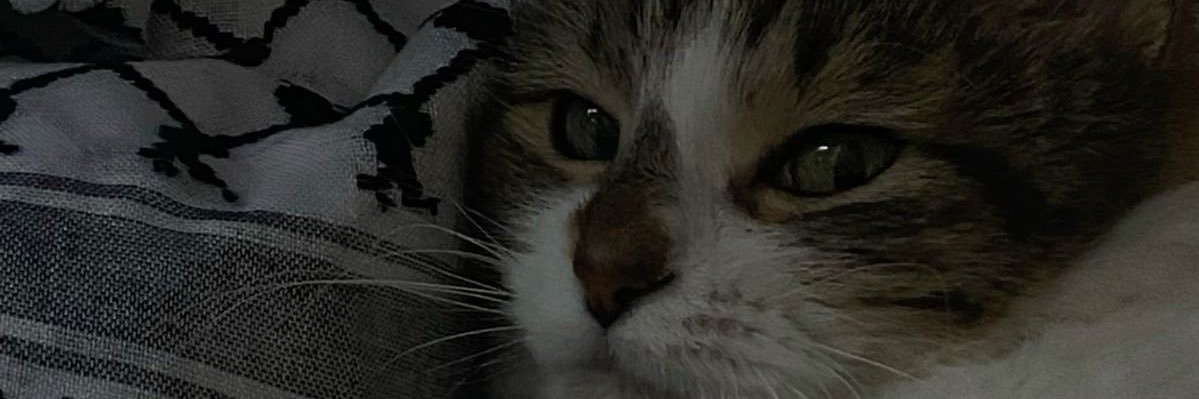 lamarp97's profile banner image