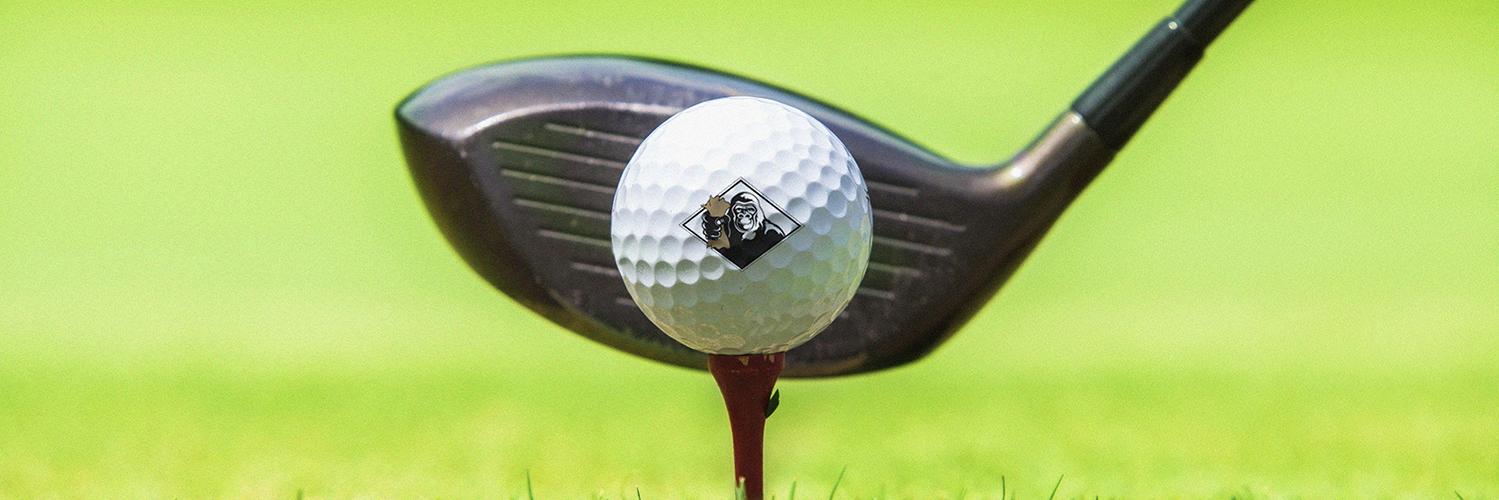 GorillaGold's profile banner image