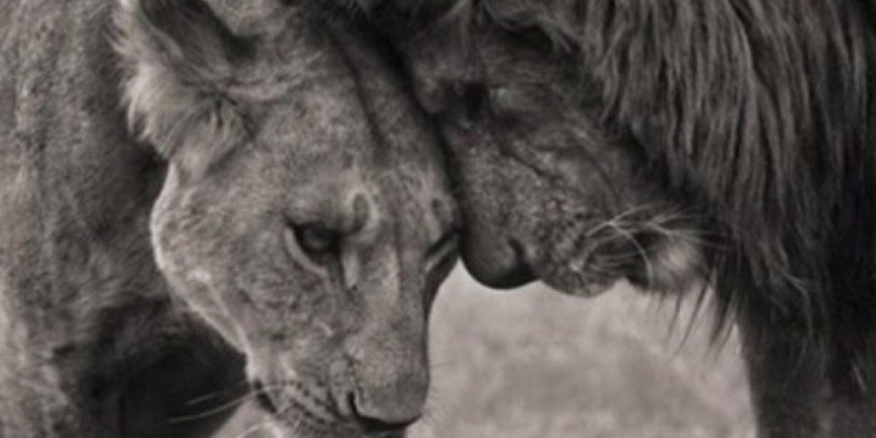 WhatI_Stand4's profile banner image