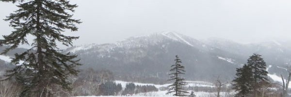 pom3150's profile banner image