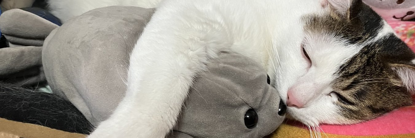 Bug_tteru_'s profile banner image