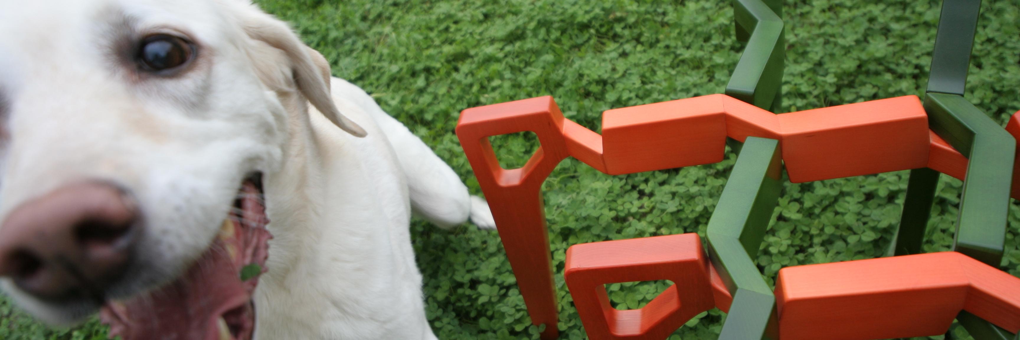 higuchi_masaki@jurilog banner