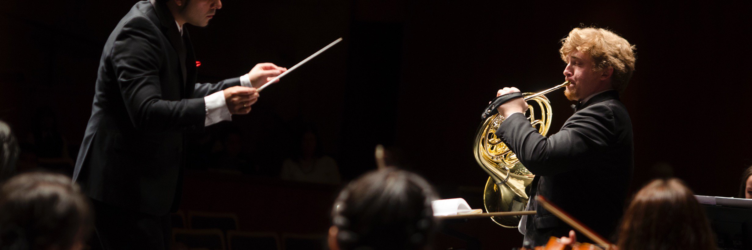 UC Davis Music banner