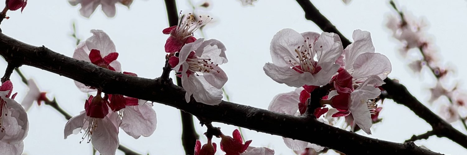 市之丞(イチノジョウ) banner