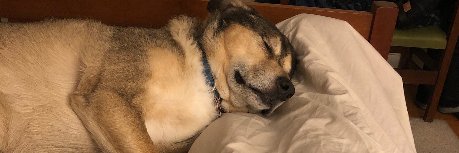 Eric Sundquist banner