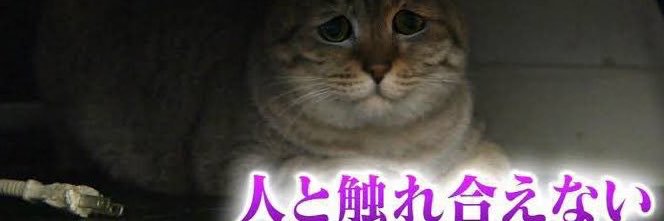 K177DR01D's profile banner image
