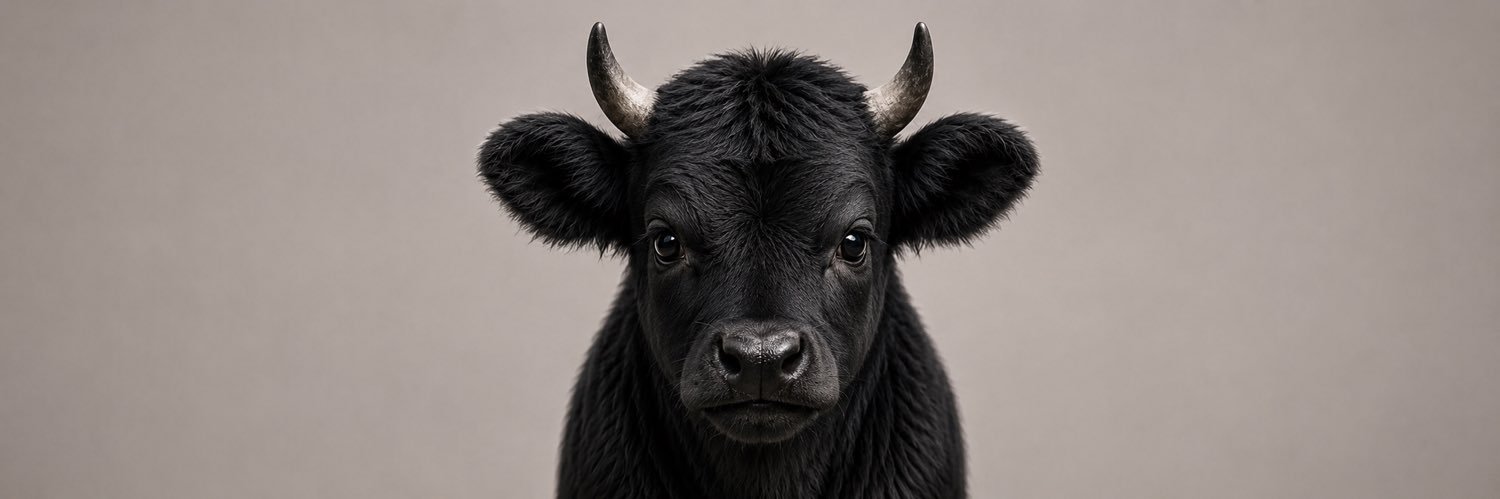 justablackbull's profile banner image