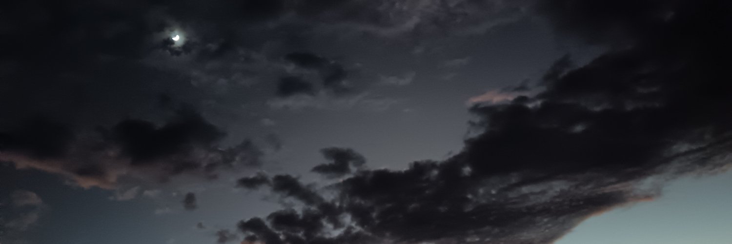 fitchapinJO's profile banner image