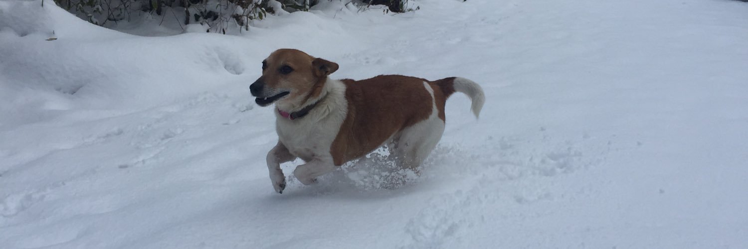 Cathal Mc Allister banner