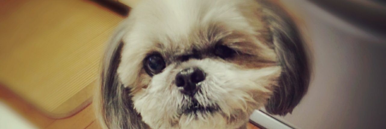 tomoyi's profile banner image