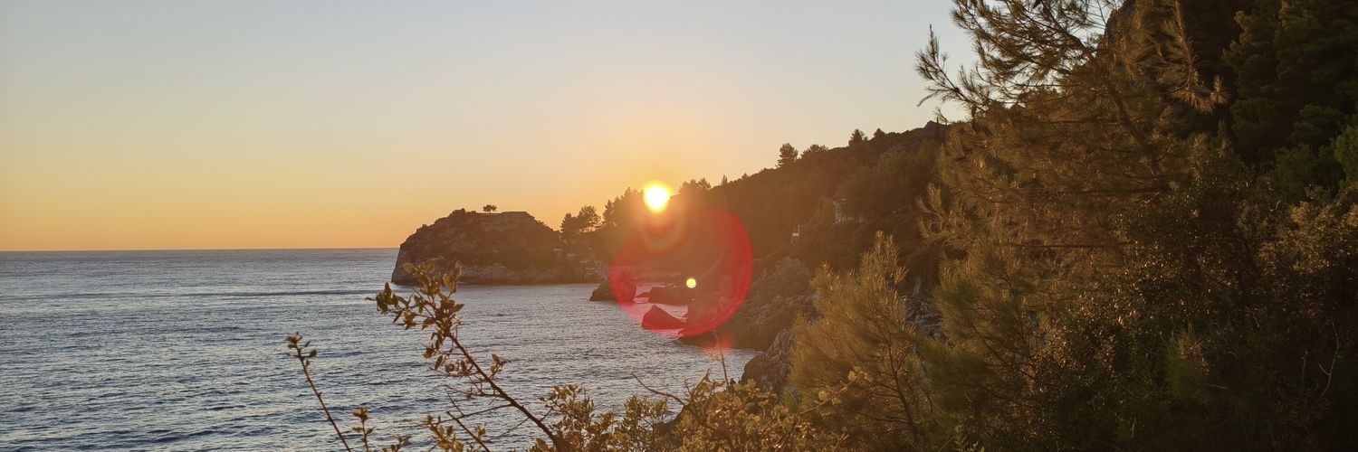 realbigdick_A's profile banner image